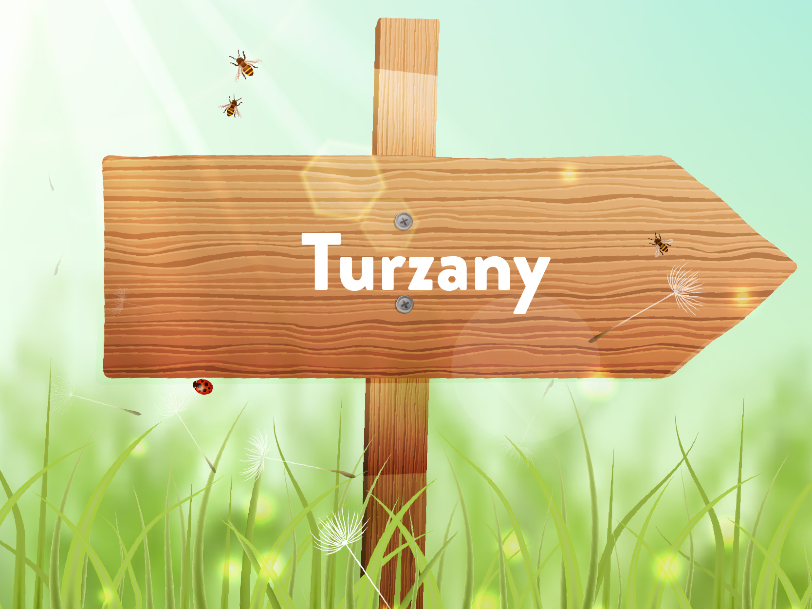 sołectwo Turzany