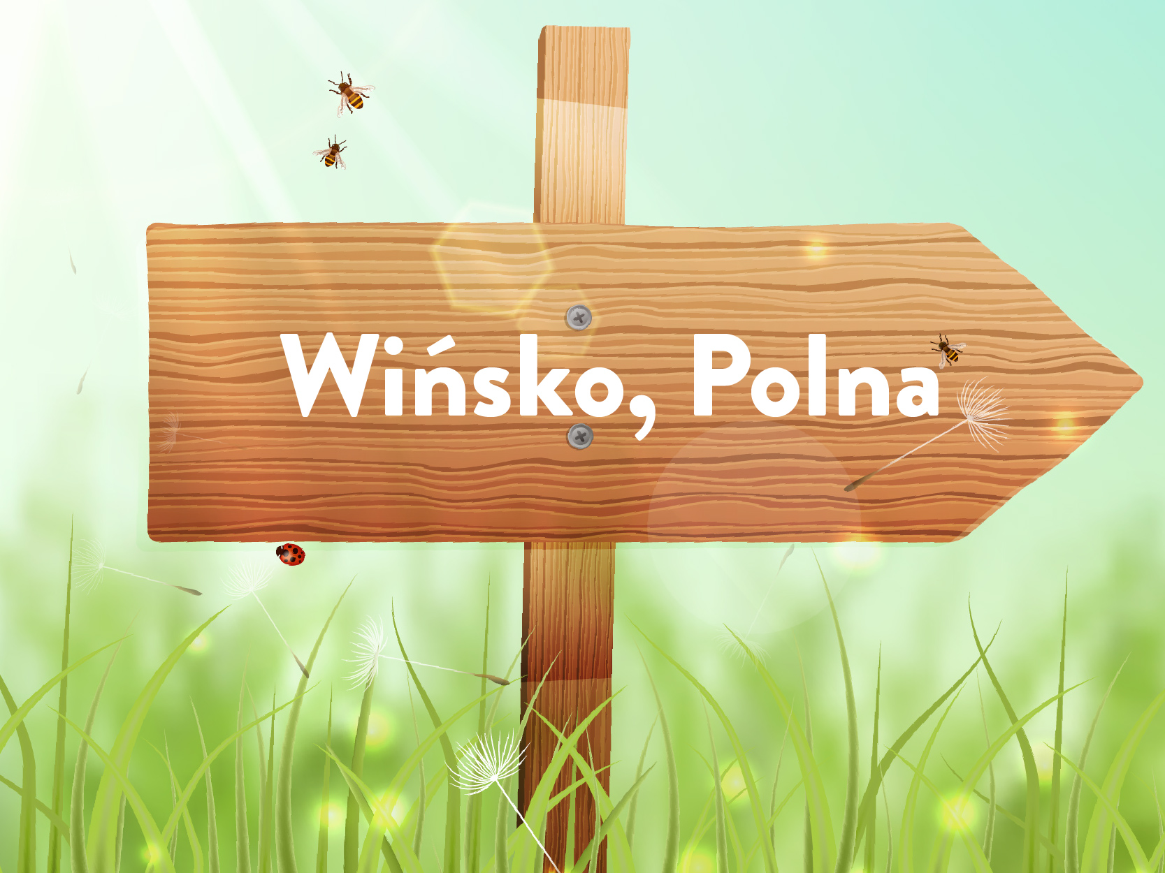 sołectwo Wińsko, Polna