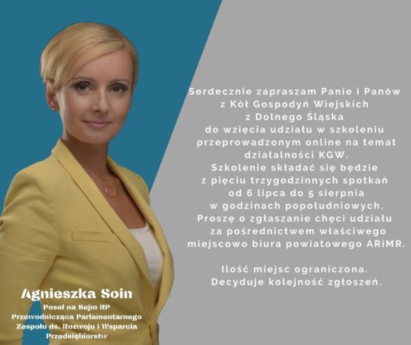 Agnieszka Soin, Poseł na Sejm RP