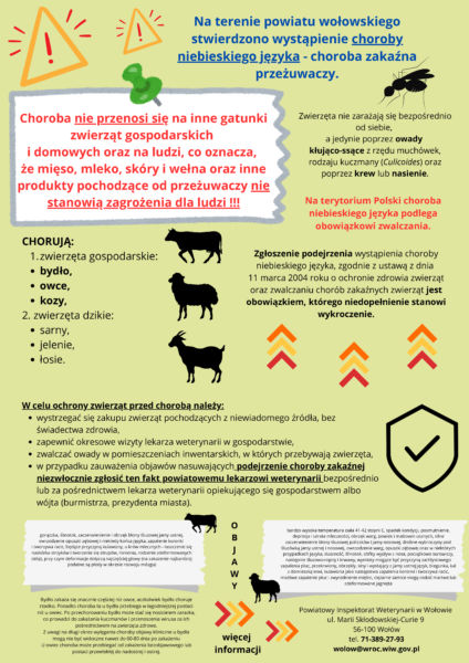 ulotka informacyjna - choroba niebieskiego języka