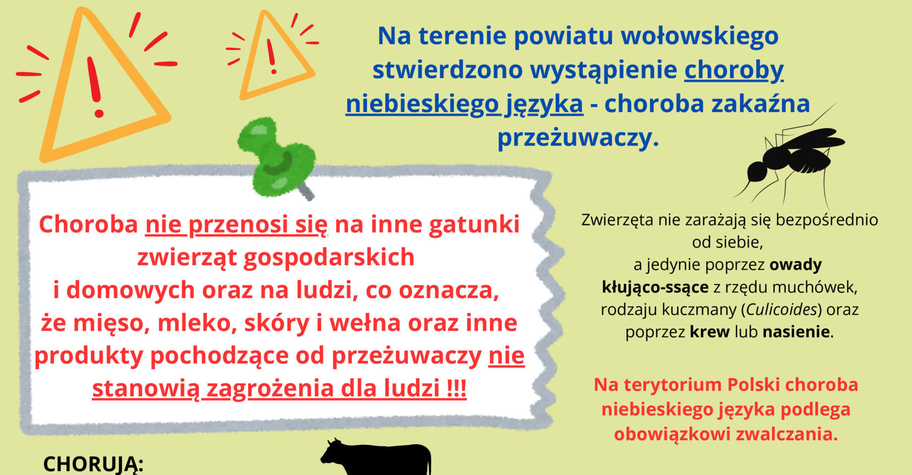 ulotka informacyjna - choroba niebieskiego języka