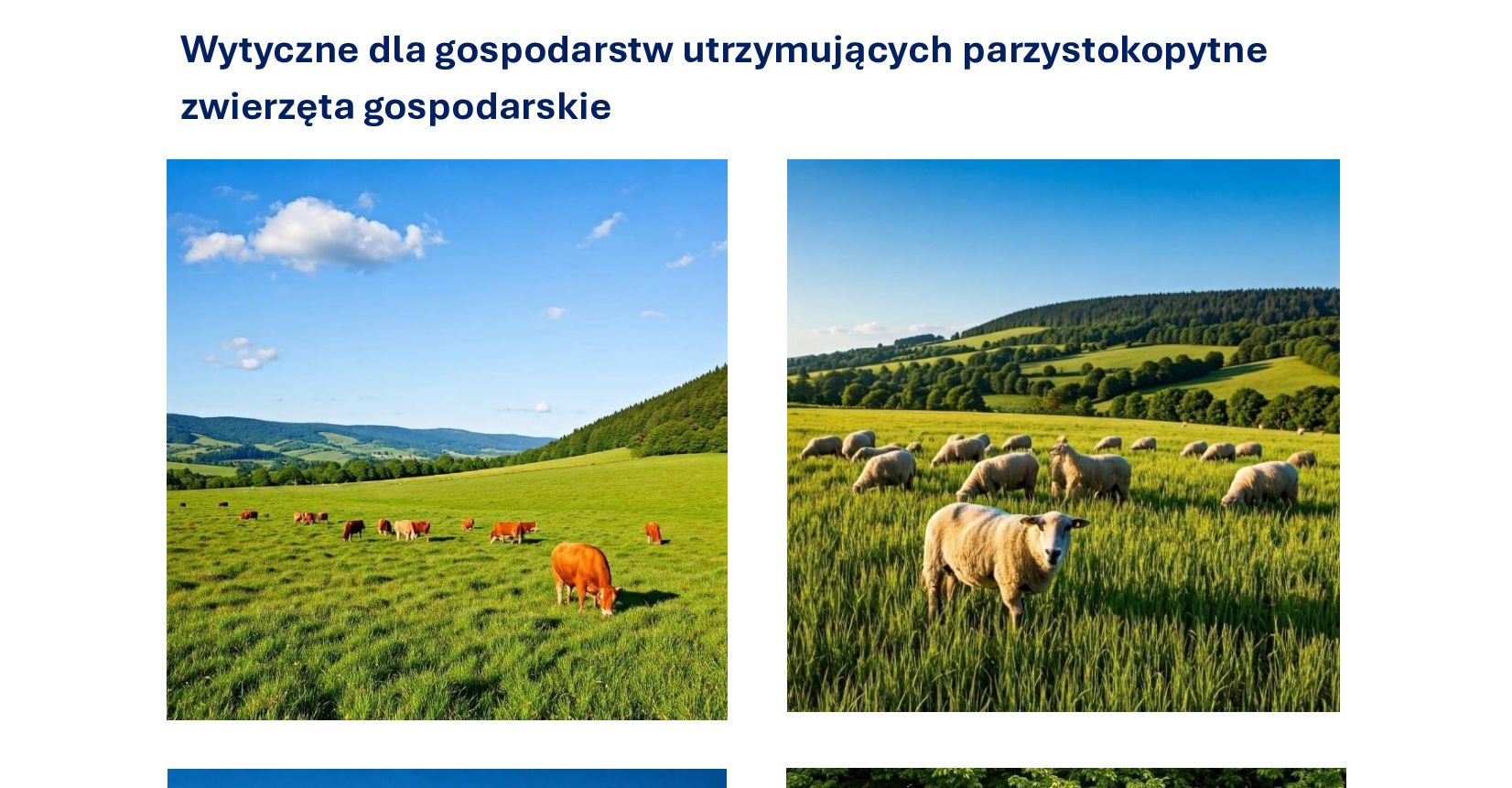 na zdjęciu zwierzęta parzystokopytne