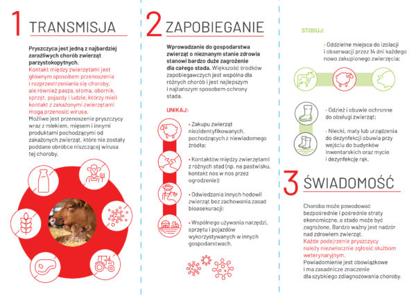 ulotka pryszczyca