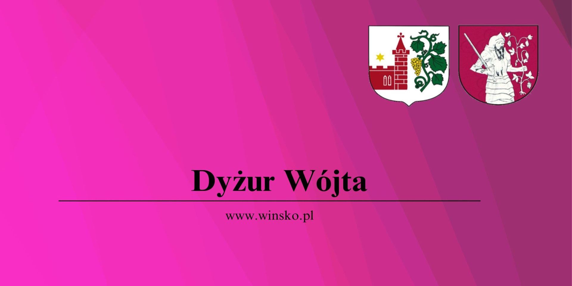 na różowym tle napis dyżur wójta